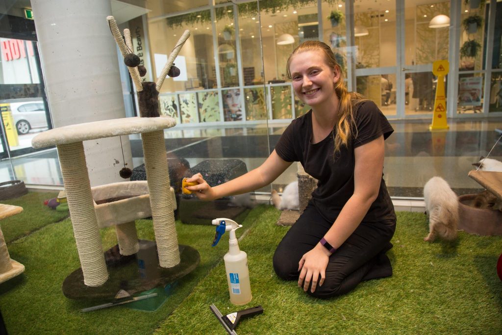 work experience at pet store